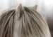 Poster Horse Mane - white horse with a lot of hair against a winter forest 130375 additionalThumb 10