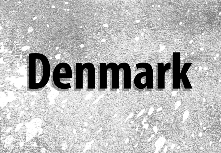 Canvas Denmark on concrete - contour map of the Nordic state 135175 additionalImage 4