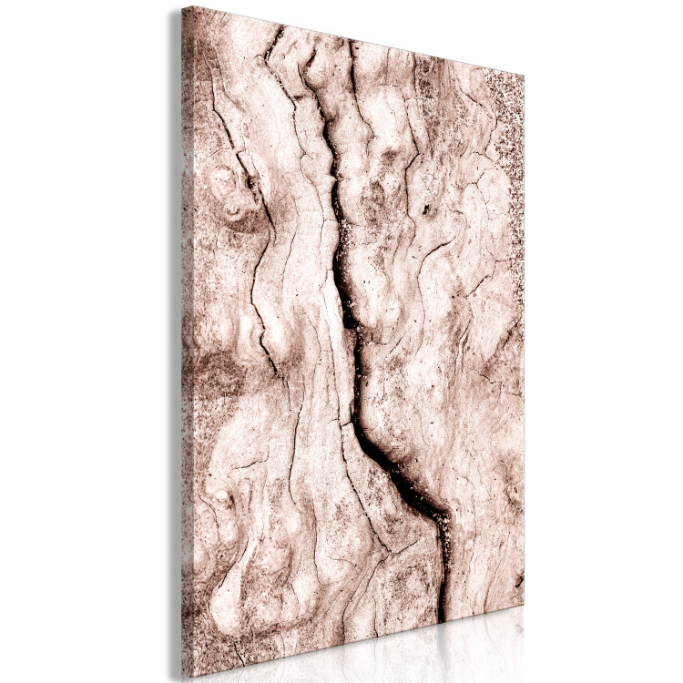 Canvas Print Tree bark - black and white closeup on a bright bark 135275 additionalImage 2