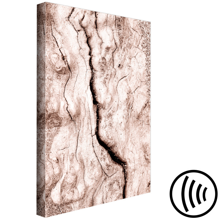Canvas Print Tree bark - black and white closeup on a bright bark 135275 additionalImage 6