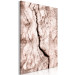 Canvas Print Tree bark - black and white closeup on a bright bark 135275 additionalThumb 2
