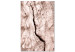 Canvas Print Tree bark - black and white closeup on a bright bark 135275