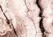 Canvas Print Tree bark - black and white closeup on a bright bark 135275 additionalThumb 5