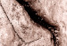 Canvas Print Tree bark - black and white closeup on a bright bark 135275 additionalThumb 4