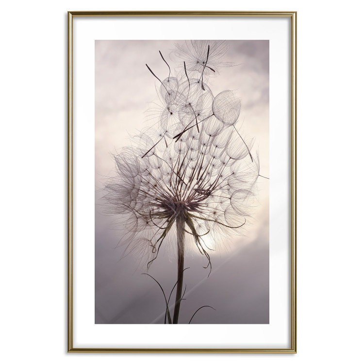 Poster Divided Moment - delicate dandelion flowers on an evening sky 137275 additionalImage 3
