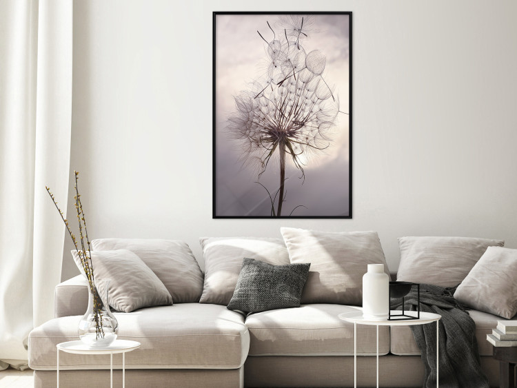 Poster Divided Moment - delicate dandelion flowers on an evening sky 137275 additionalImage 18
