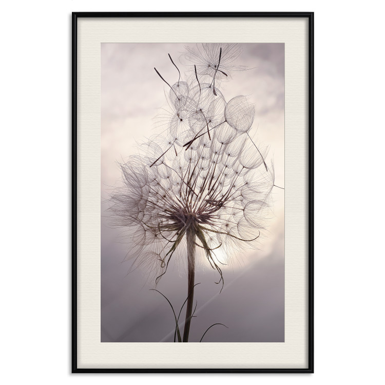 Poster Divided Moment - delicate dandelion flowers on an evening sky 137275 additionalImage 3
