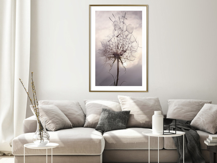 Poster Divided Moment - delicate dandelion flowers on an evening sky 137275 additionalImage 9