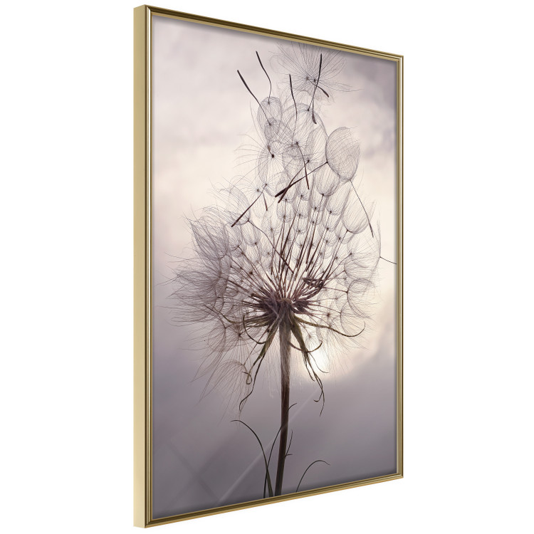 Poster Divided Moment - delicate dandelion flowers on an evening sky 137275 additionalImage 23