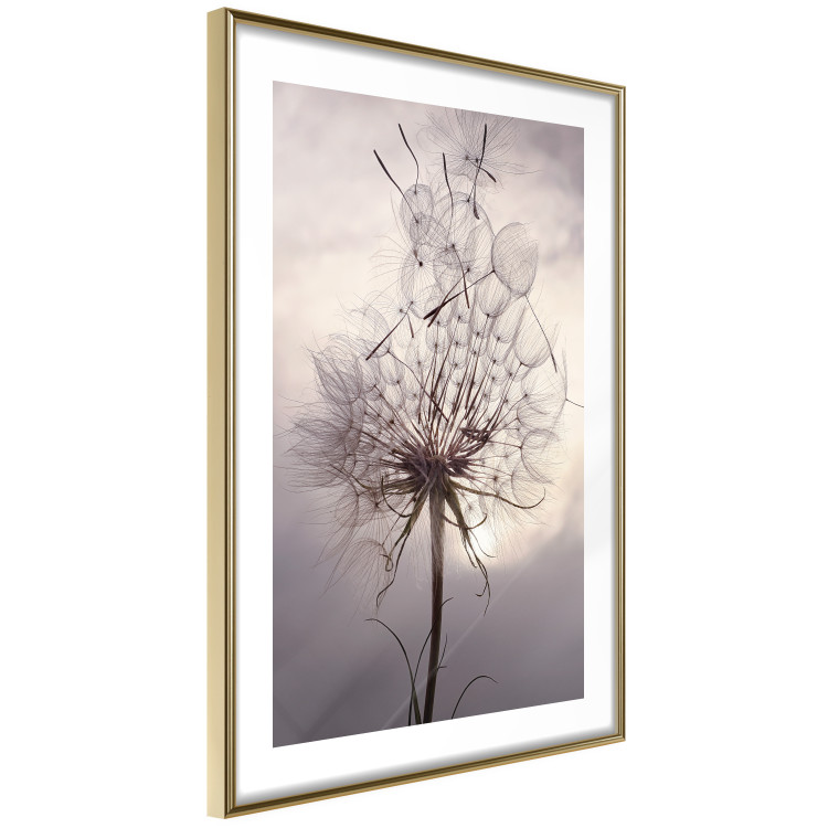 Poster Divided Moment - delicate dandelion flowers on an evening sky 137275 additionalImage 21