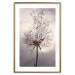 Poster Divided Moment - delicate dandelion flowers on an evening sky 137275 additionalThumb 5