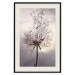 Poster Divided Moment - delicate dandelion flowers on an evening sky 137275 additionalThumb 3