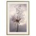 Poster Divided Moment - delicate dandelion flowers on an evening sky 137275 additionalThumb 2