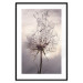 Poster Divided Moment - delicate dandelion flowers on an evening sky 137275 additionalThumb 4