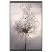 Poster Divided Moment - delicate dandelion flowers on an evening sky 137275 additionalThumb 7