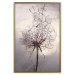 Poster Divided Moment - delicate dandelion flowers on an evening sky 137275 additionalThumb 6