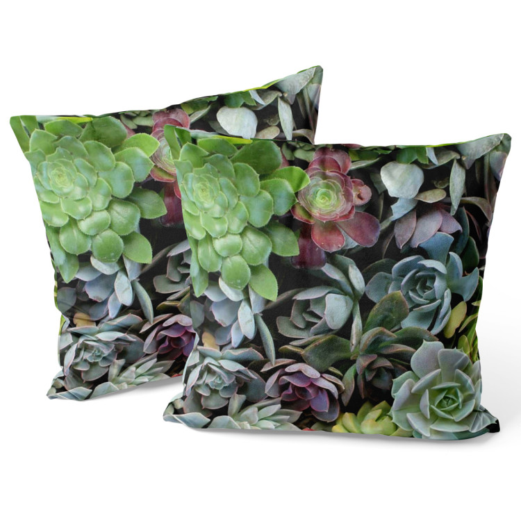 Decorative Velor Pillow Variety of succulents - a plant composition with rich detailing 147075 additionalImage 3