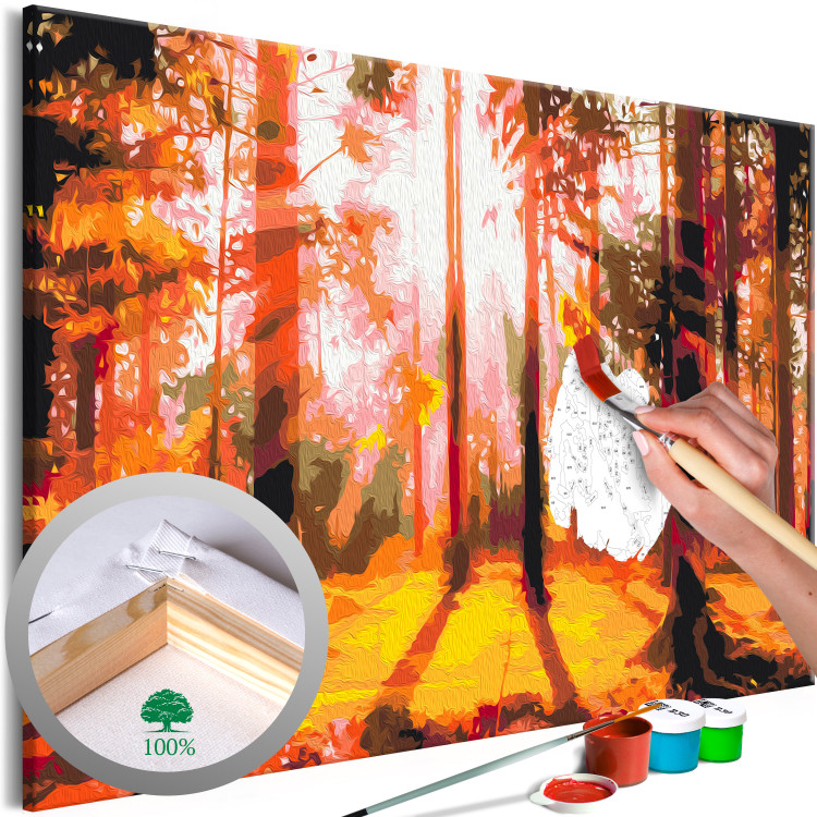 Paint by Number Kit Spring Forest - Landscape With the Sun Breaking Through the Trees 149775