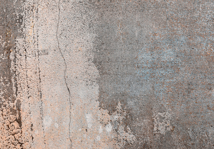 Canvas Art Print Worn Rust - Abstract Textures in Sepia and Gray Colors 151775 additionalImage 4