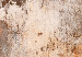 Canvas Art Print Worn Rust - Abstract Textures in Sepia and Gray Colors 151775 additionalThumb 5