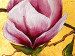 Canvas Print Magnolias on gold 47475 additionalThumb 2