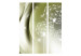 Room Divider Green Delicacy - romantic glow of dandelions on a green background 95375 additionalThumb 3