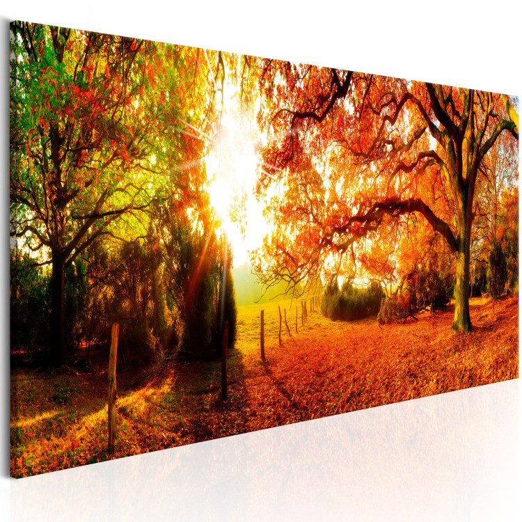 Canvas Art Print Magic of Autumn 97375 additionalImage 2