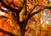 Canvas Art Print Magic of Autumn 97375 additionalThumb 5