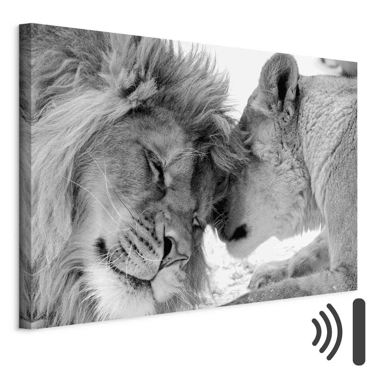 Canvas Print Lion's Love 97575 additionalImage 8