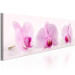 Canvas Print Three Orchids - Romantic Pink Orchid Flowers on White Background 97975 additionalThumb 2