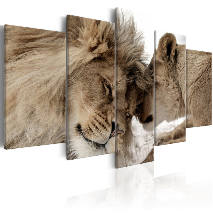 Canvas Art Print Lion Affections (5-piece) - Pair of Wild Cats in Romantic Setting 105585 additionalImage 2