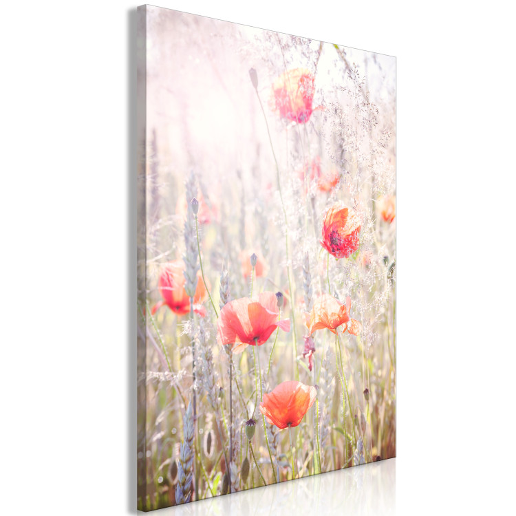 Canvas Print Colors of Spring (1-part) - Blooming Poppies in Flowery Meadow 116385 additionalImage 2