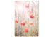 Canvas Print Colors of Spring (1-part) - Blooming Poppies in Flowery Meadow 116385