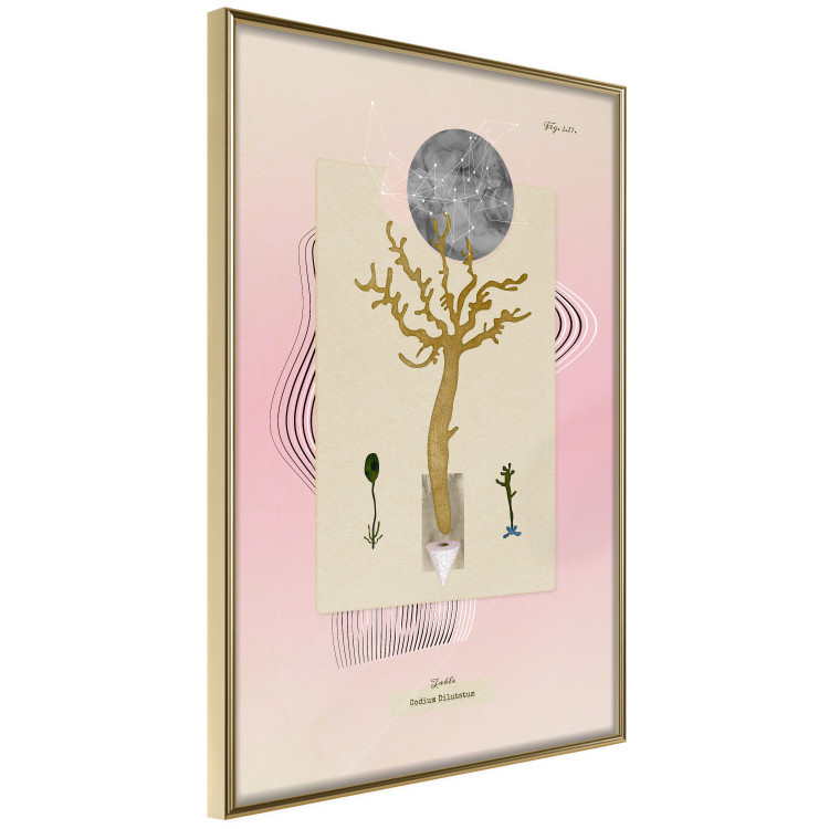 Wall Poster Unusual Plant - colorful abstraction with a tree and various shapes 116885 additionalImage 3