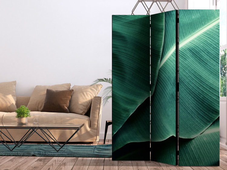 Room Divider Banana Leaves - texture of green leaves with many details 118385 additionalImage 4
