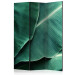 Room Divider Banana Leaves - texture of green leaves with many details 118385