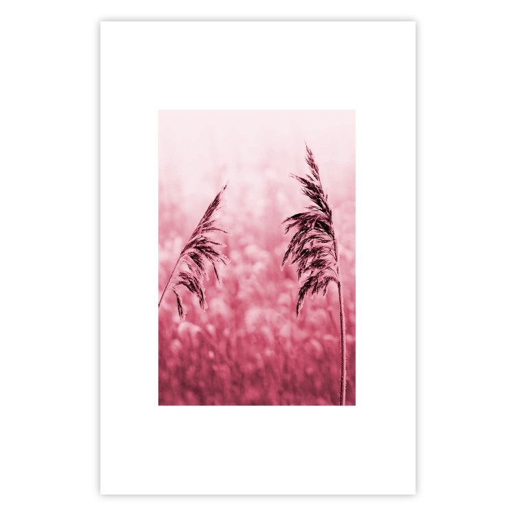Wall Poster Ruby Spikes - simple composition with field plants in pink tones 119185 additionalImage 18