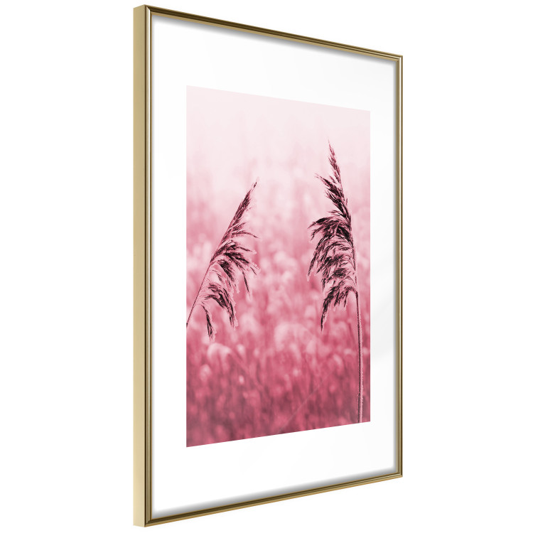 Wall Poster Ruby Spikes - simple composition with field plants in pink tones 119185 additionalImage 12