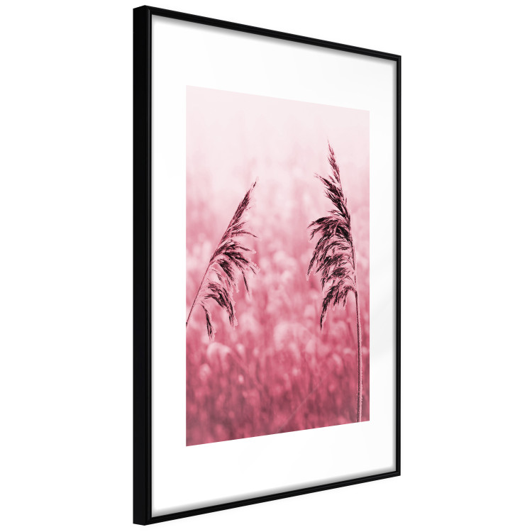 Wall Poster Ruby Spikes - simple composition with field plants in pink tones 119185 additionalImage 10