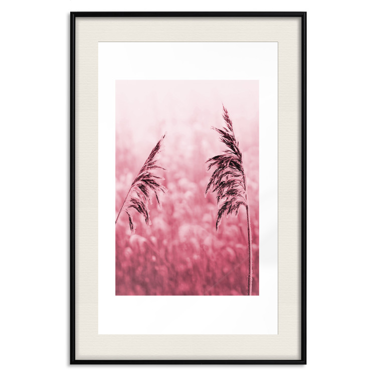 Wall Poster Ruby Spikes - simple composition with field plants in pink tones 119185 additionalImage 24