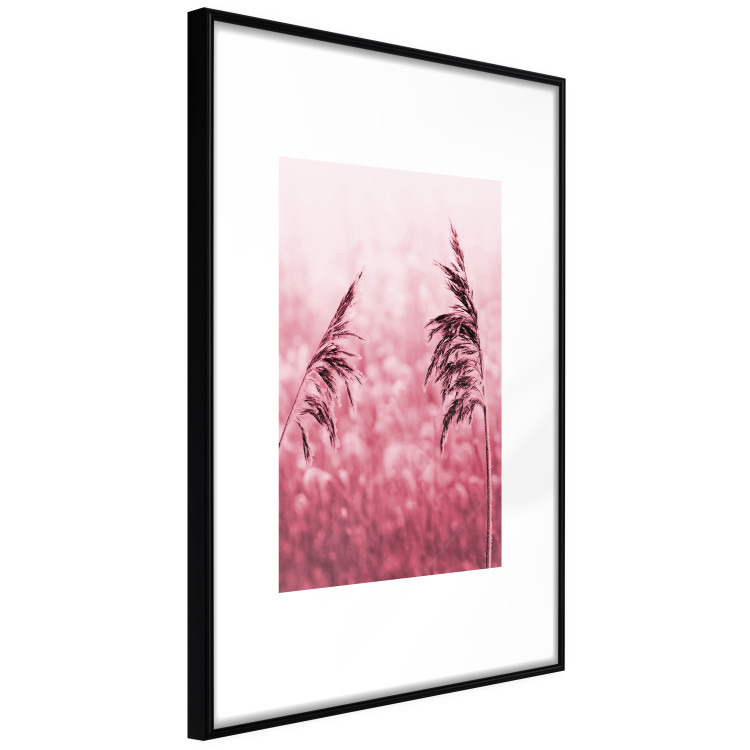 Wall Poster Ruby Spikes - simple composition with field plants in pink tones 119185 additionalImage 13