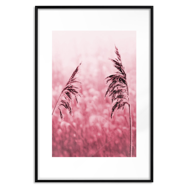 Wall Poster Ruby Spikes - simple composition with field plants in pink tones 119185 additionalImage 16