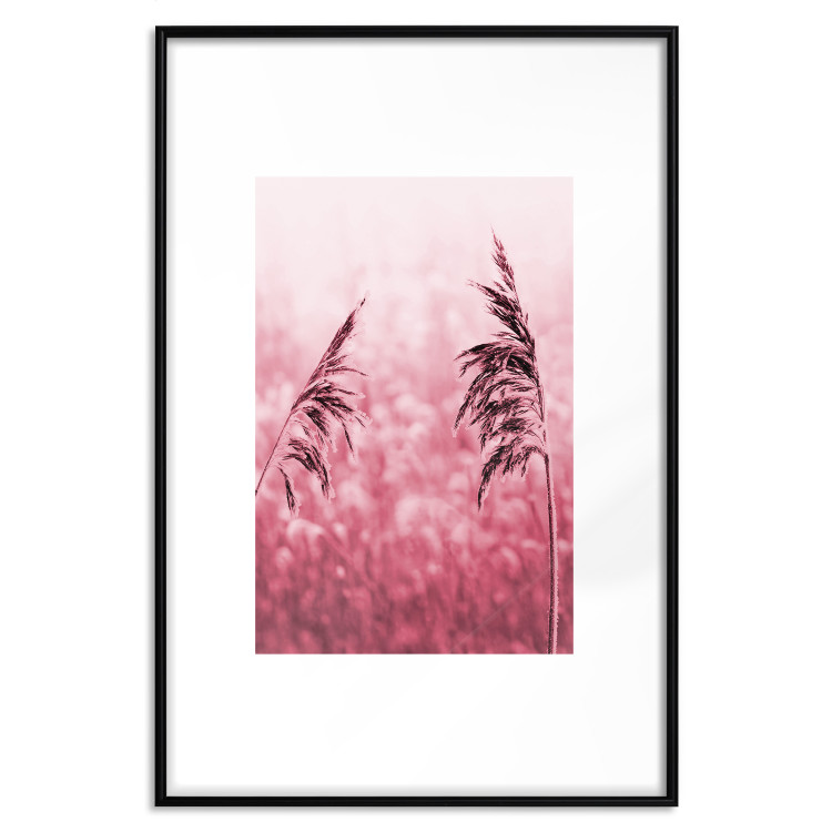Wall Poster Ruby Spikes - simple composition with field plants in pink tones 119185 additionalImage 18
