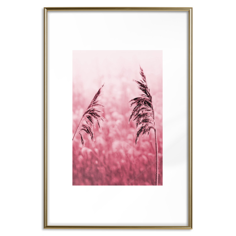 Wall Poster Ruby Spikes - simple composition with field plants in pink tones 119185 additionalImage 20