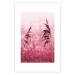 Wall Poster Ruby Spikes - simple composition with field plants in pink tones 119185