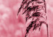 Wall Poster Ruby Spikes - simple composition with field plants in pink tones 119185 additionalThumb 11