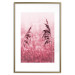 Wall Poster Ruby Spikes - simple composition with field plants in pink tones 119185 additionalThumb 26