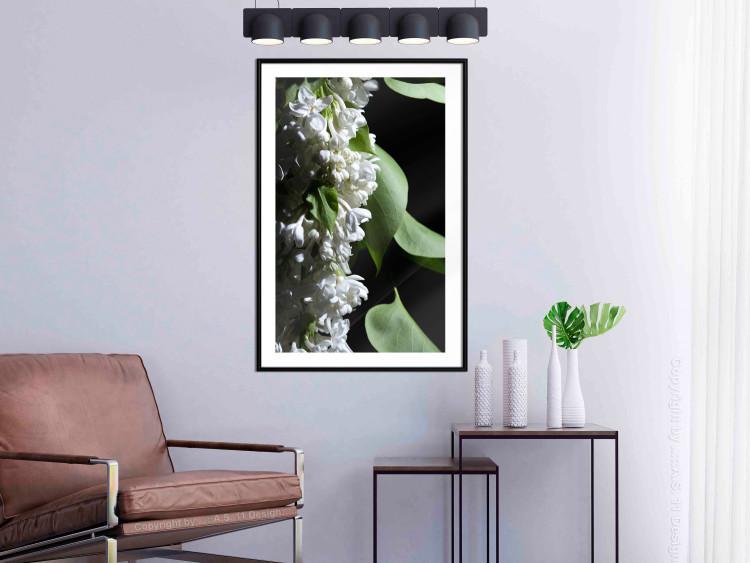 Poster Lilac Detail - botanical composition with white flowers and leaves on black 121885 additionalImage 4