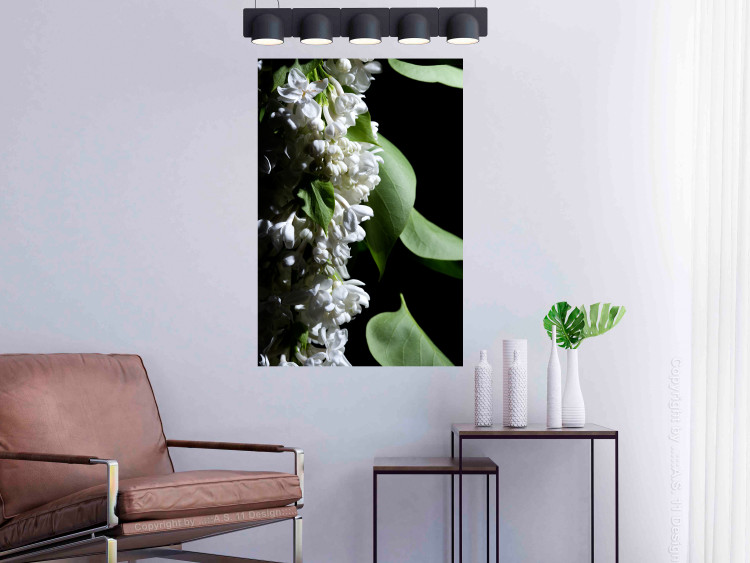 Poster Lilac Detail - botanical composition with white flowers and leaves on black 121885 additionalImage 17