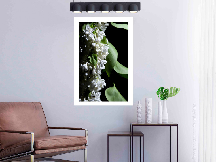 Poster Lilac Detail - botanical composition with white flowers and leaves on black 121885 additionalImage 2